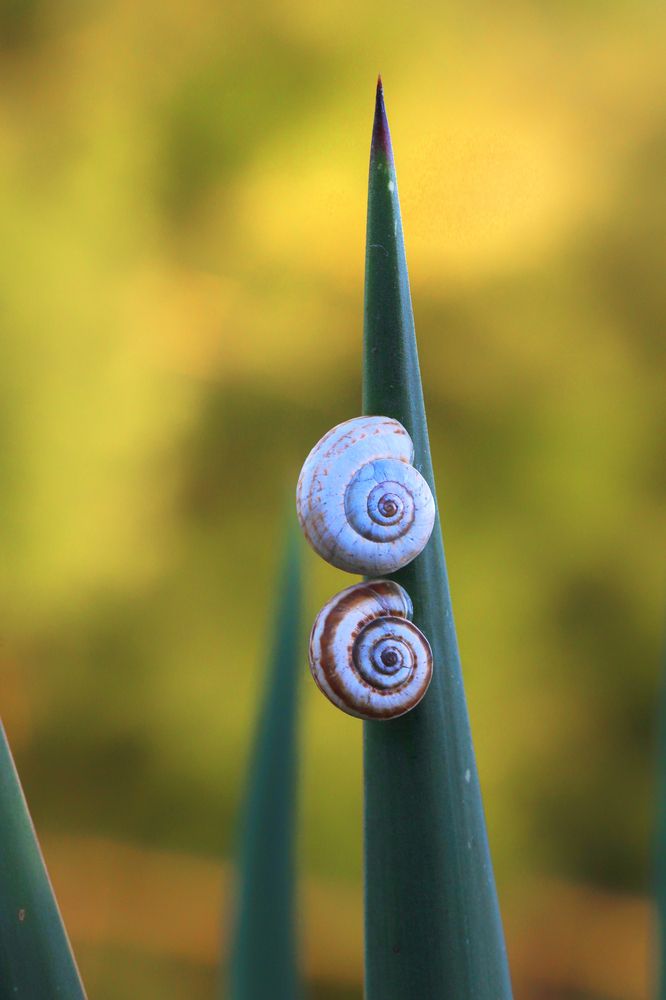Фотография автора Татьяна Сергиенко
