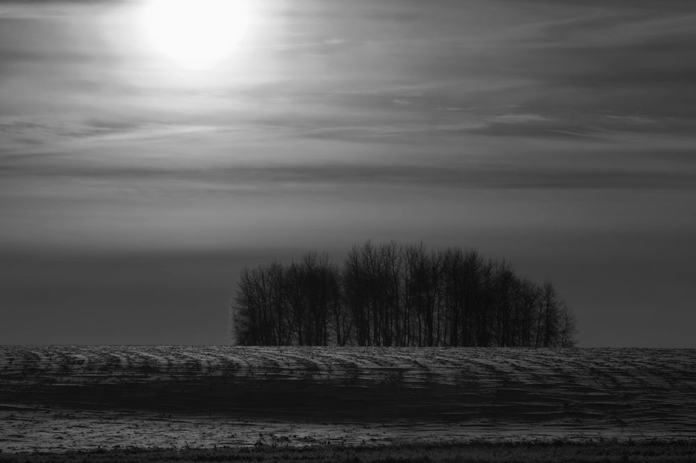 Photograph by Павел Гавриков