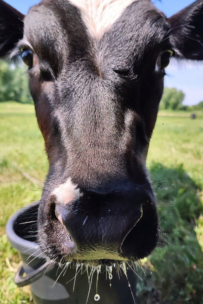 Photograph by Оксана Сандимирова