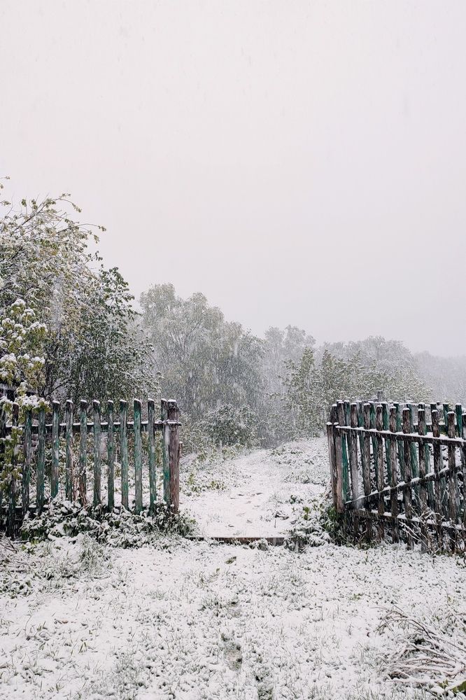 Снежный май