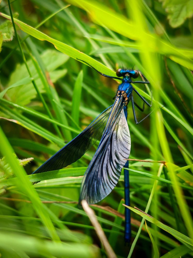 Photograph by Дарья Кондрашонок