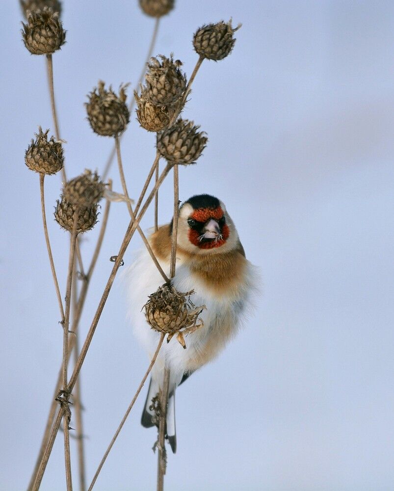 Фотография автора Садыков
