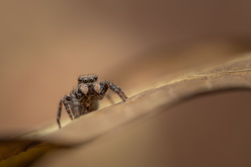 Фотография автора Krisztina Mácsai