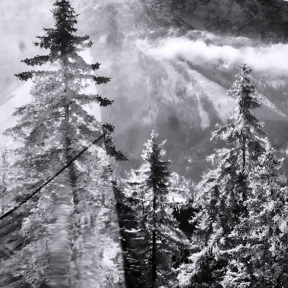 Фотография автора Emese Bădina