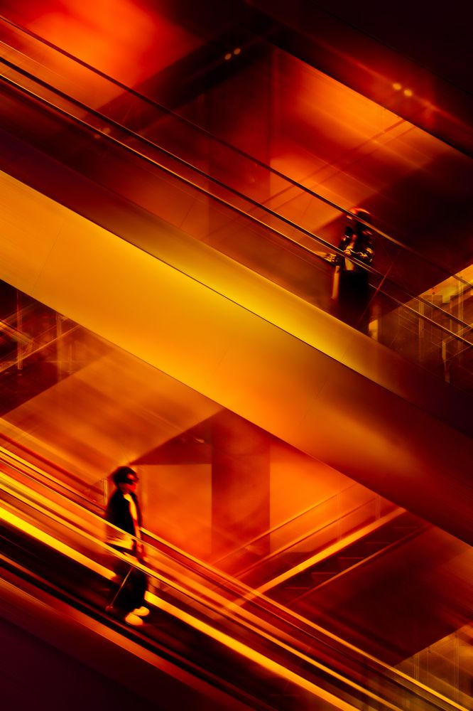 Photograph by Andy Tam