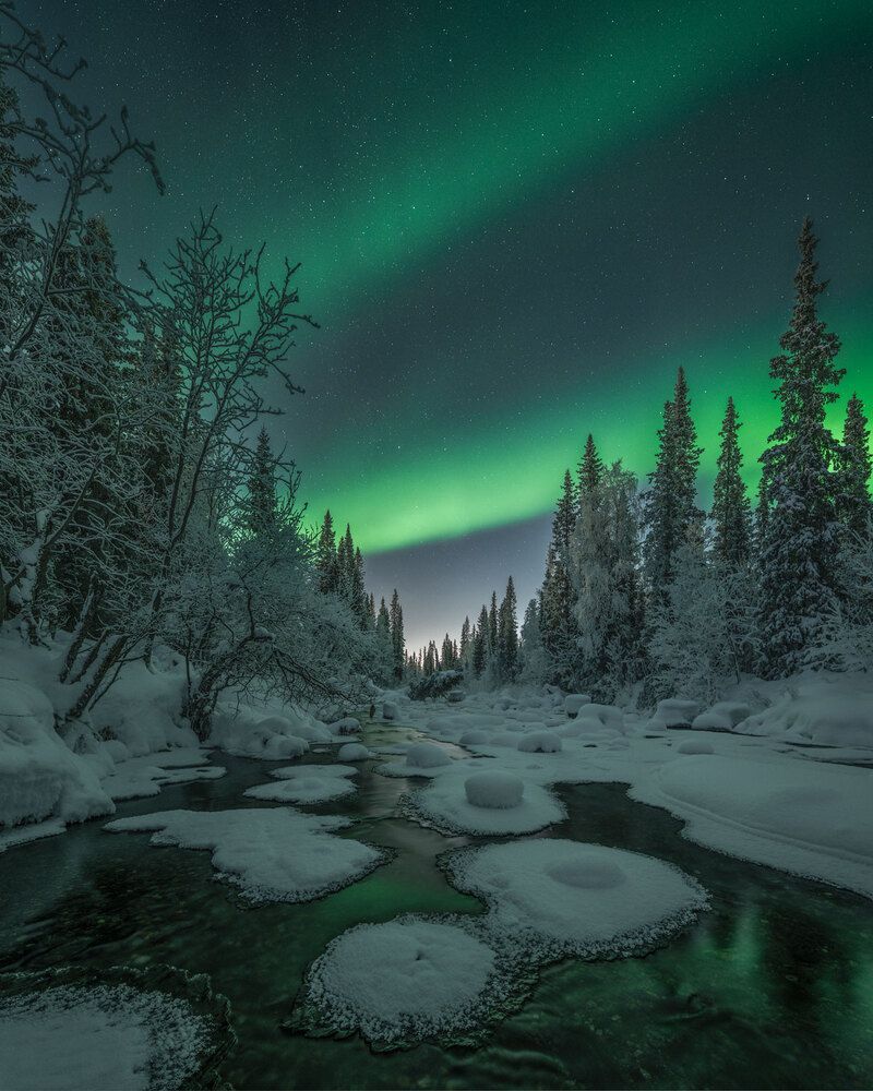 Photograph by Бушков Евгений