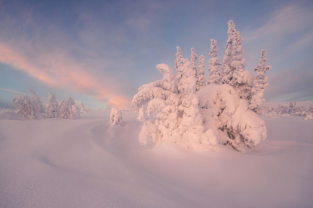 Фотография автора виталий терешонок