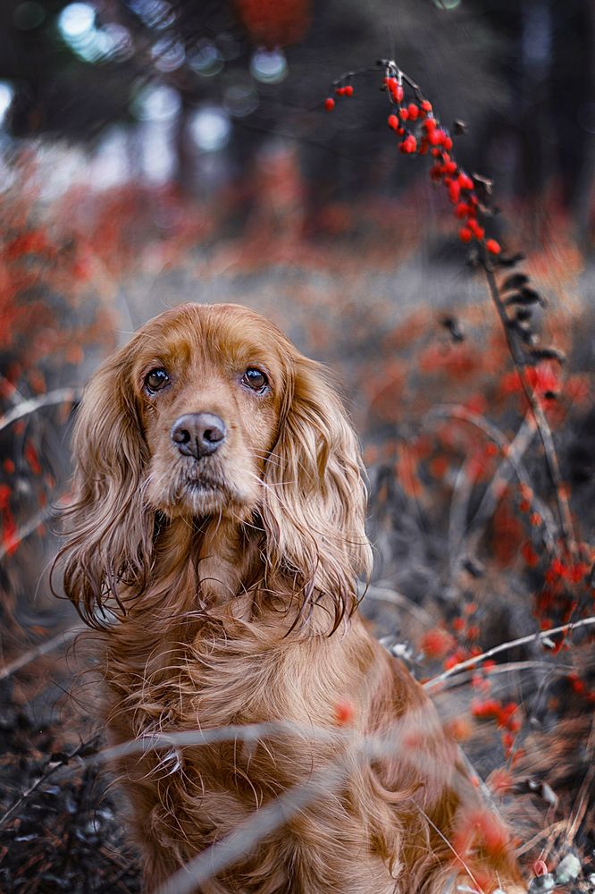 Photograph by Victoria Mogulyan