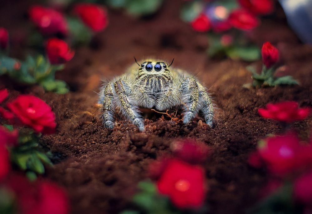 Photograph by Celis Norman