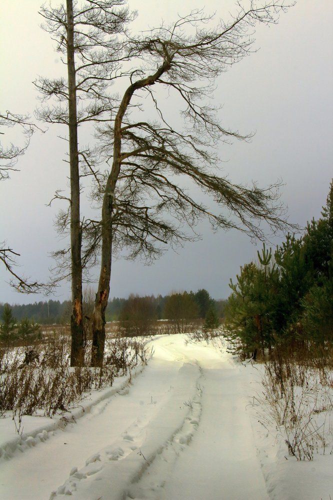 Зимний день