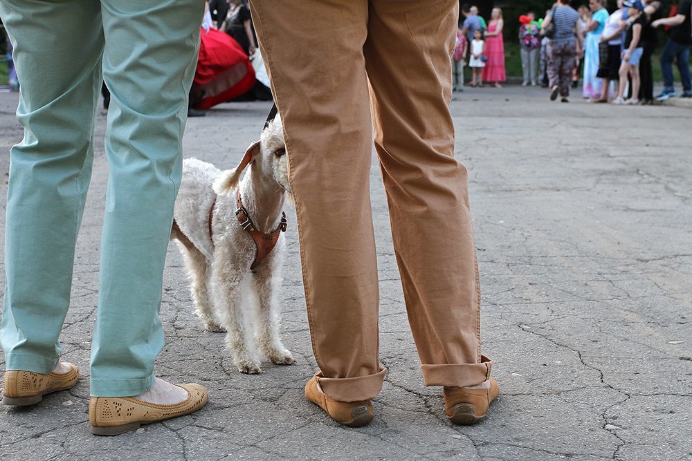 В мире людей