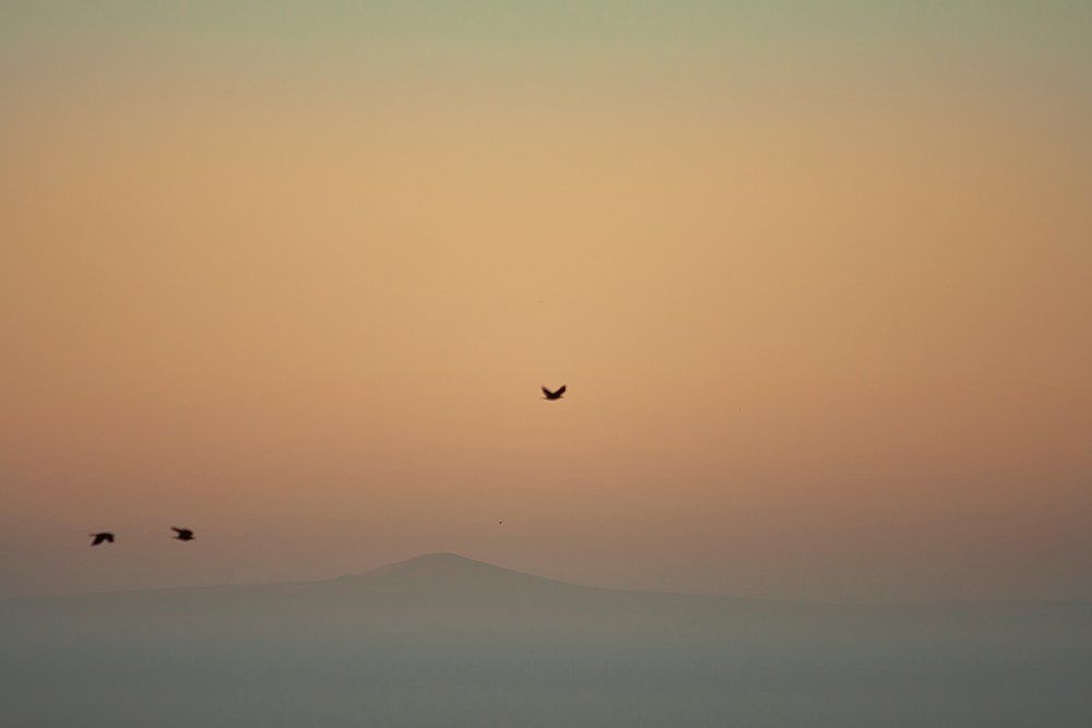 Вид из окна