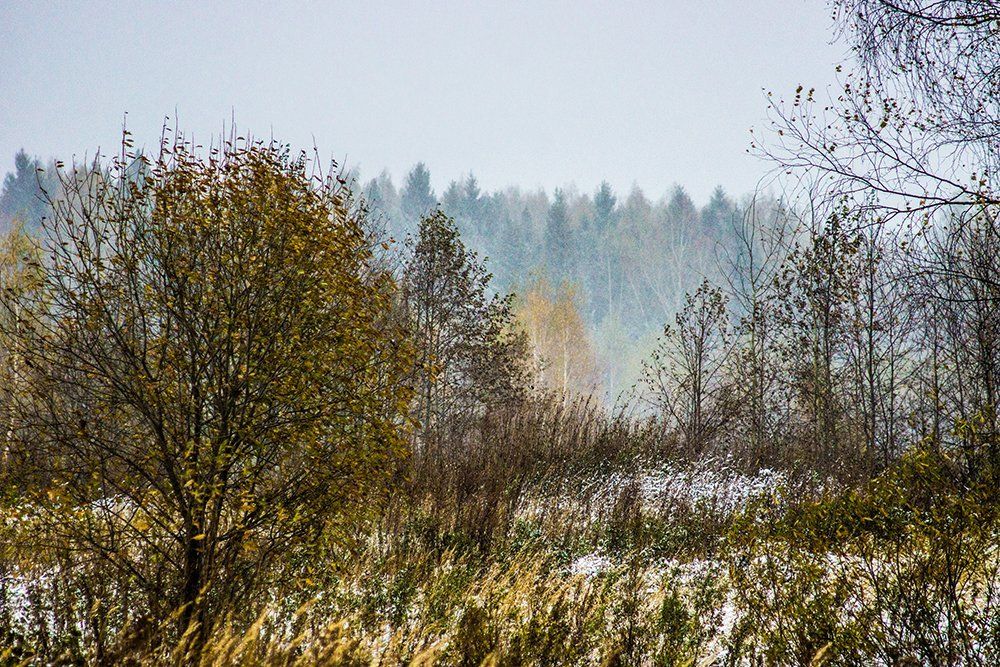 серия первоснежное настроение