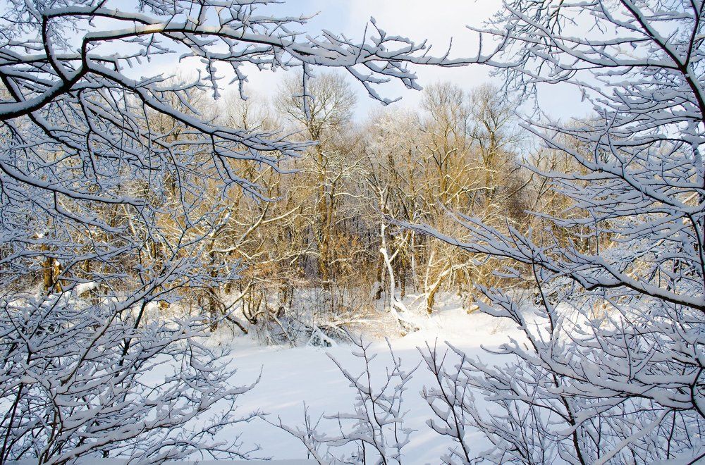 Сквозь кружево