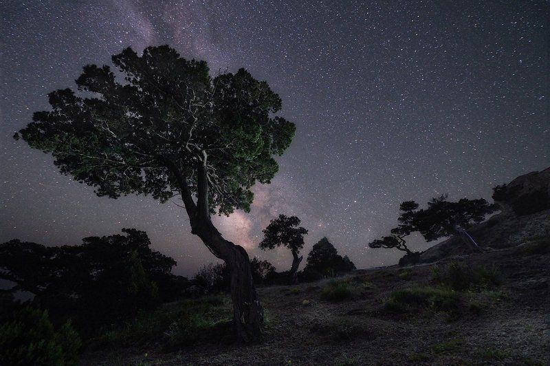 Andrew Kopanev, Spain