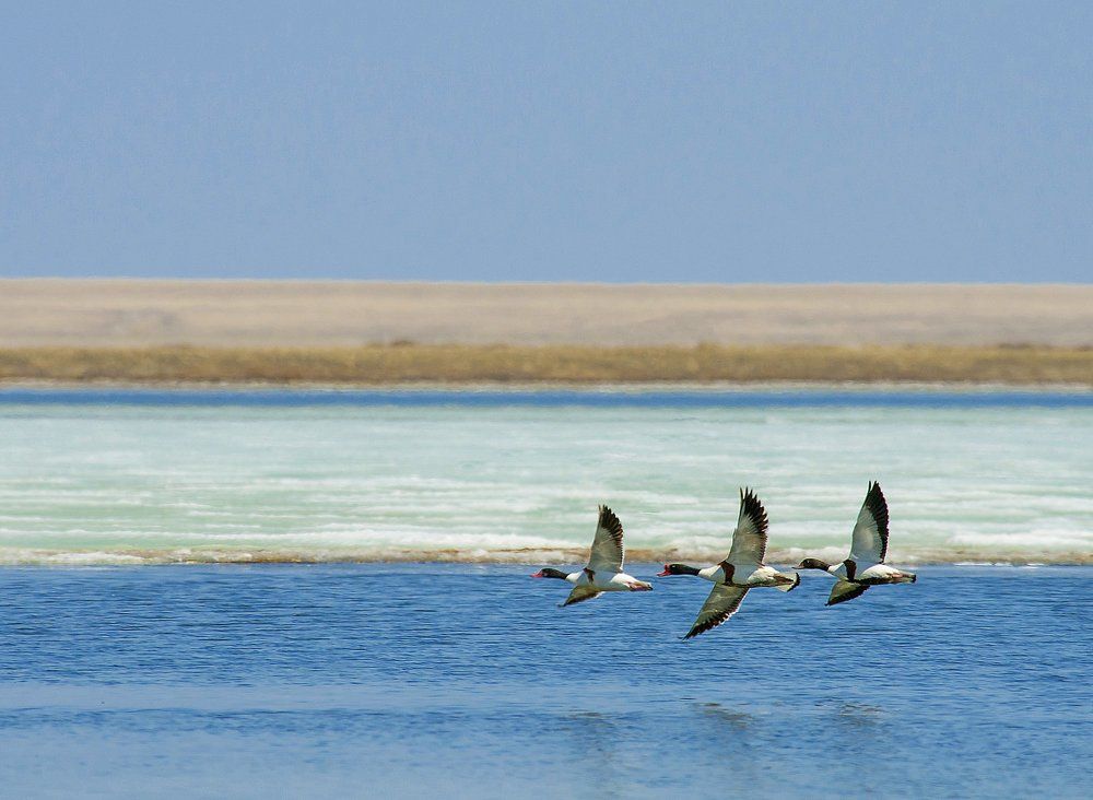 Photograph by Aleksandr