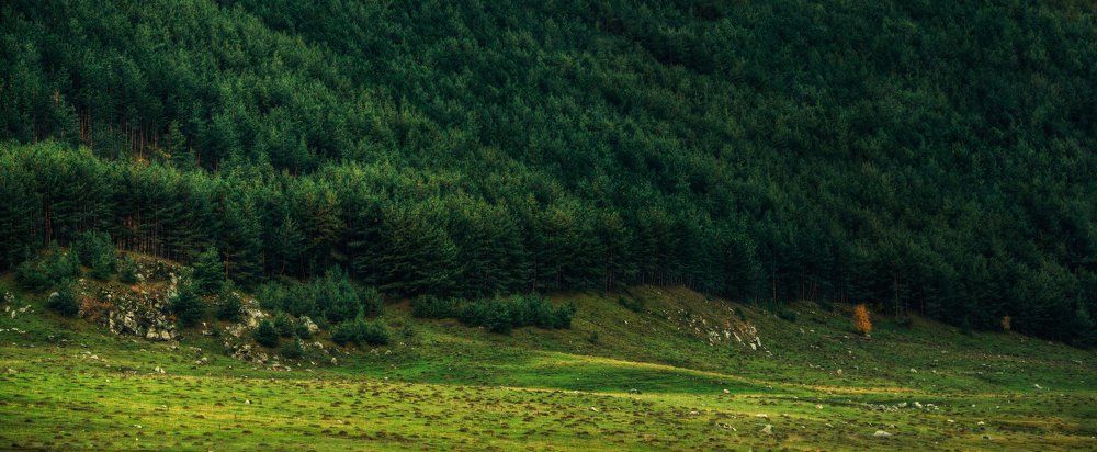 На границе поколений...