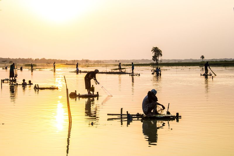Abdullah Tusher, Bangladesh
