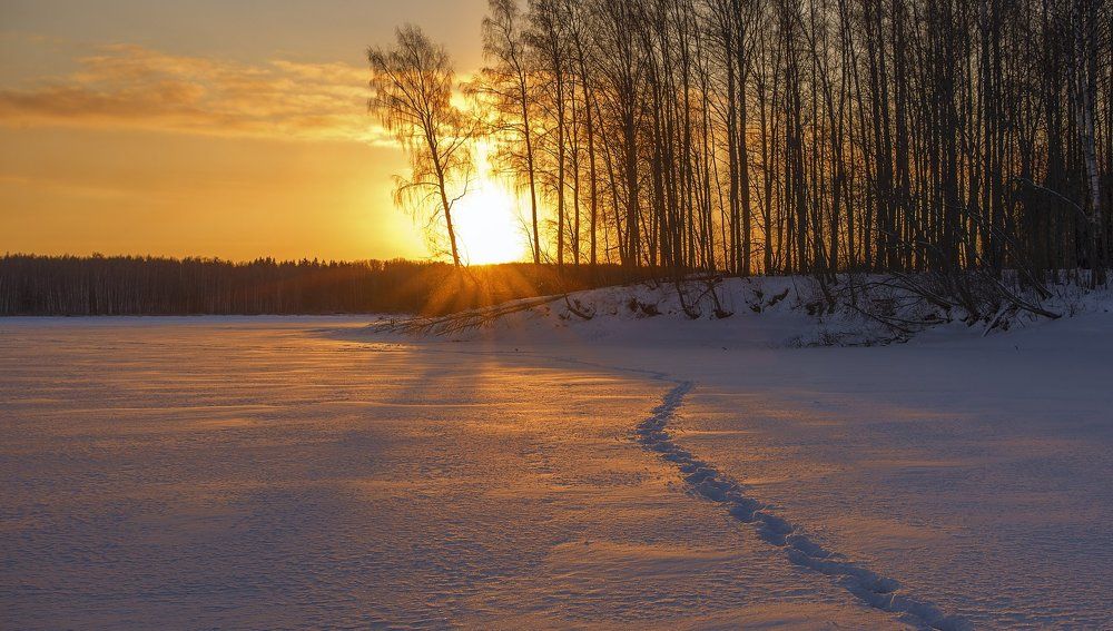 Январская красивая.