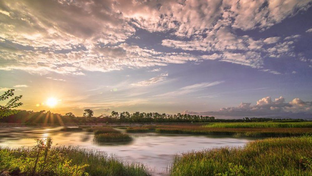 Photograph by ნიკოლოზ მესხი