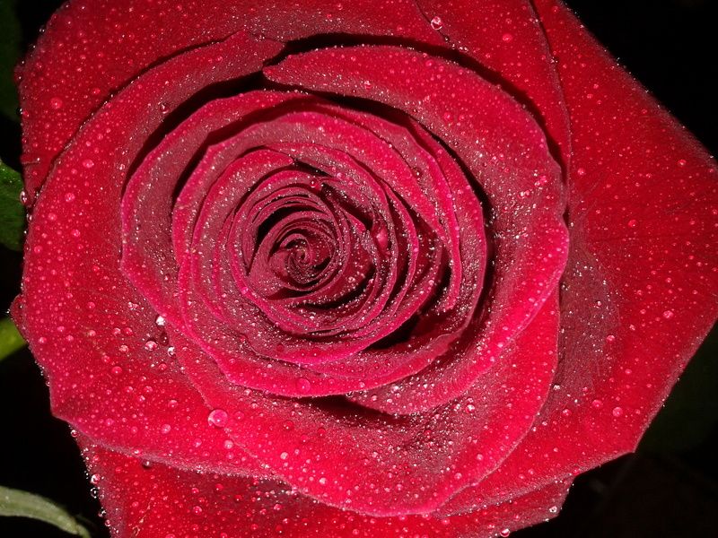 татьяна, Russia