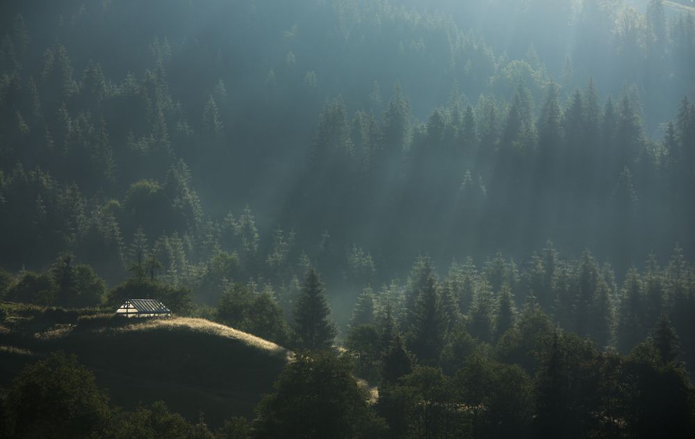 На струнах света.