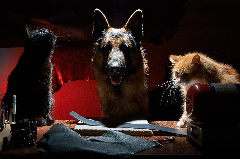 Craftsman and journeymans.