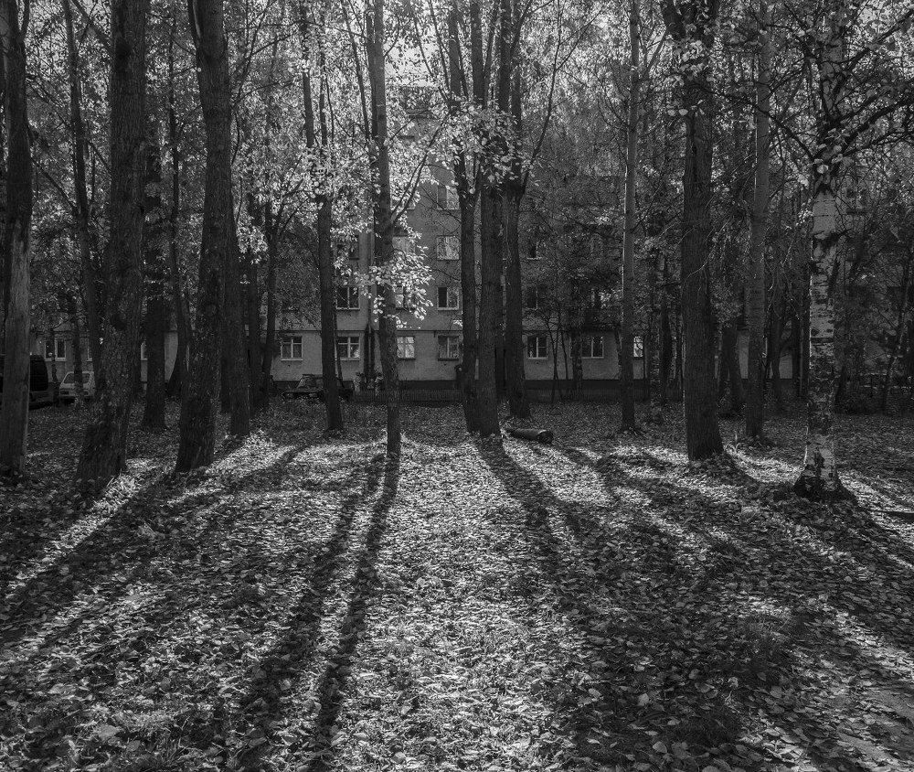 осеннее солнышко