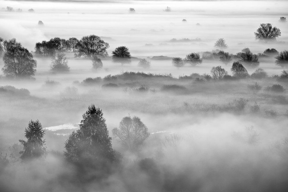 Белое покрывало.