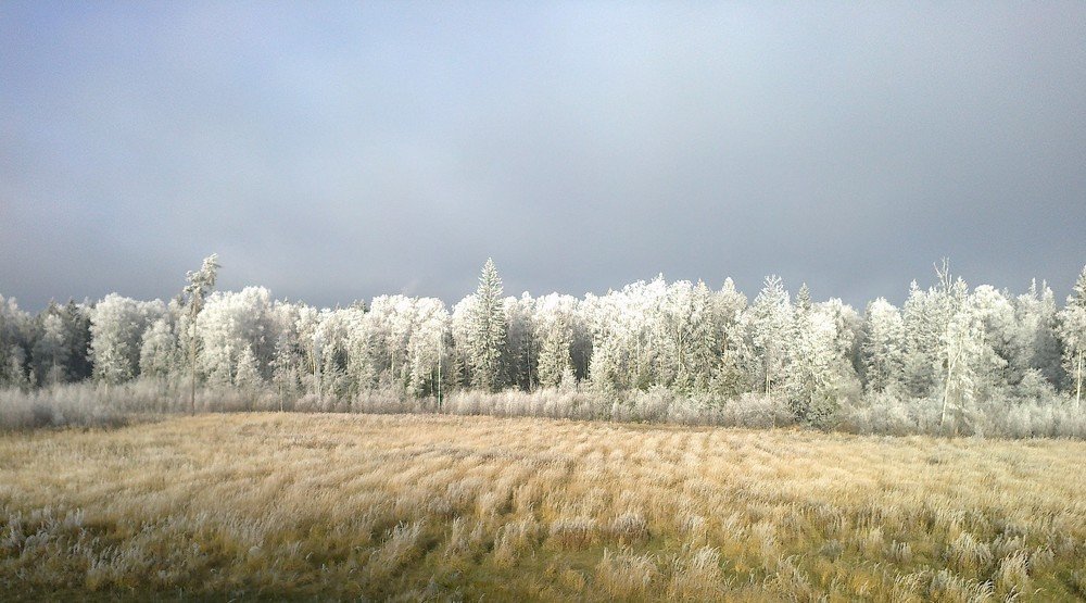 Ранний иней