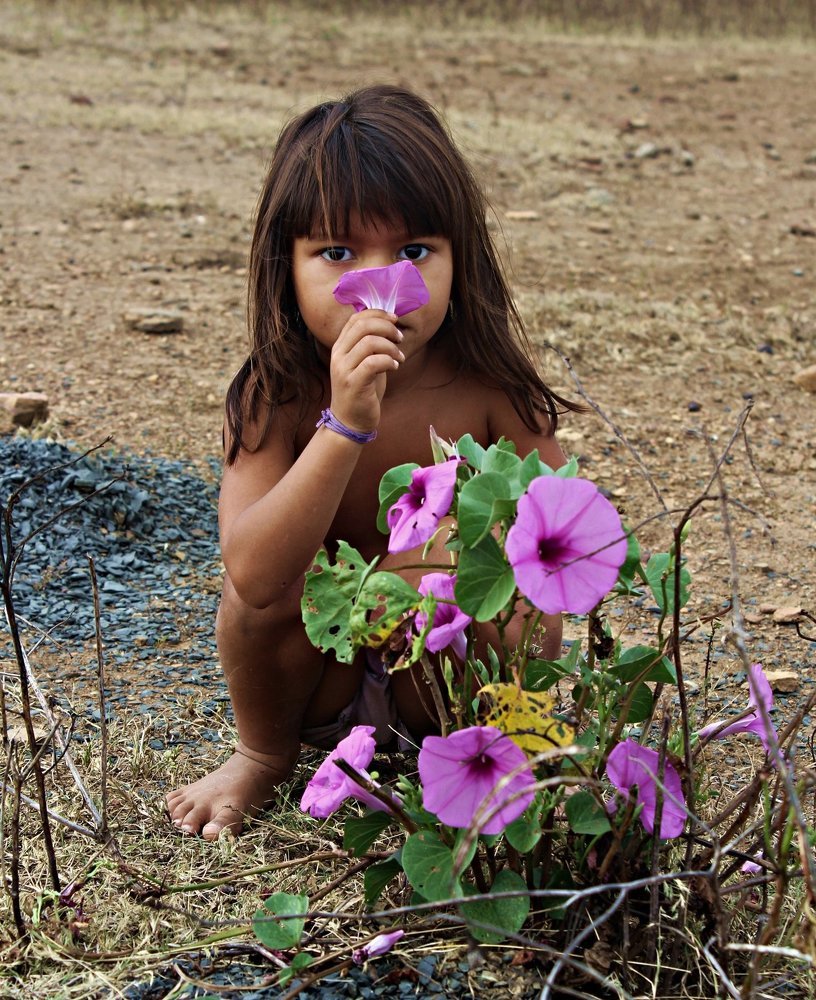 The child behind the backwoods