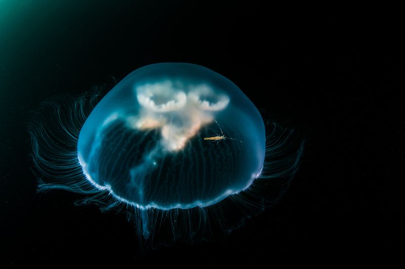 Aleksei Kondratuk, Russia