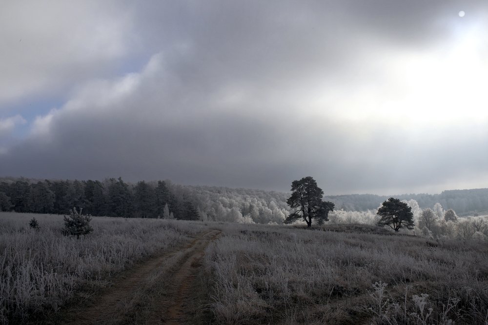 Перед расветом , туман , первые заморозки .
