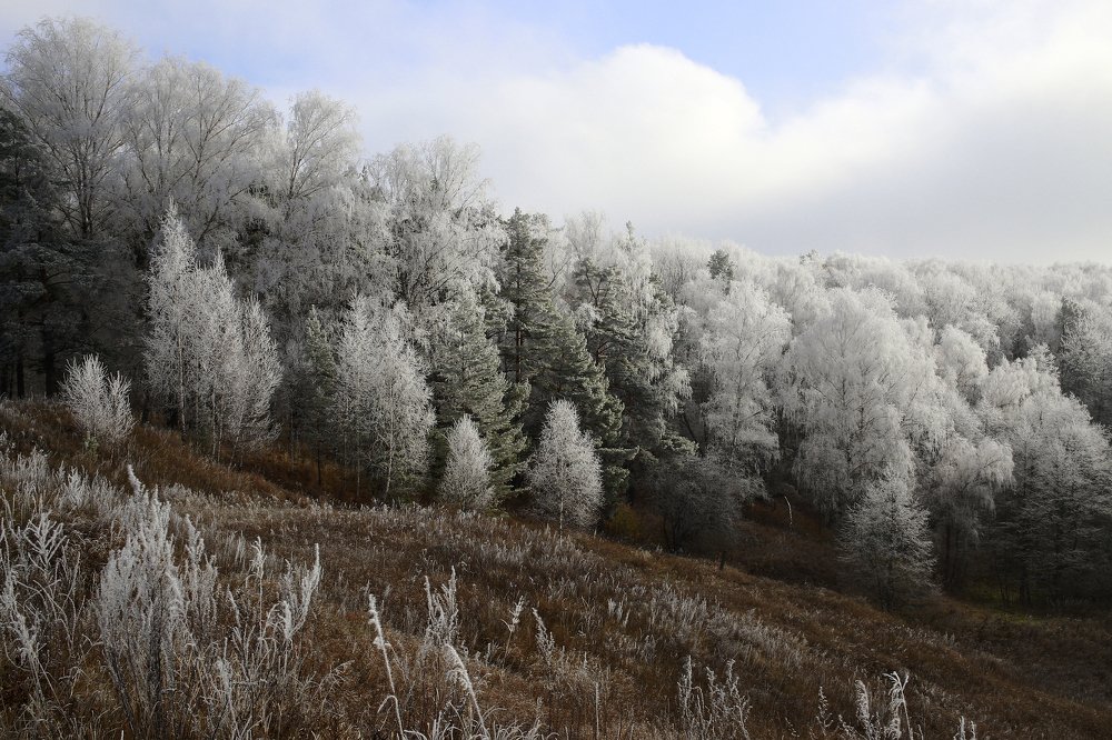 Осеньняя сказка , морозный иней