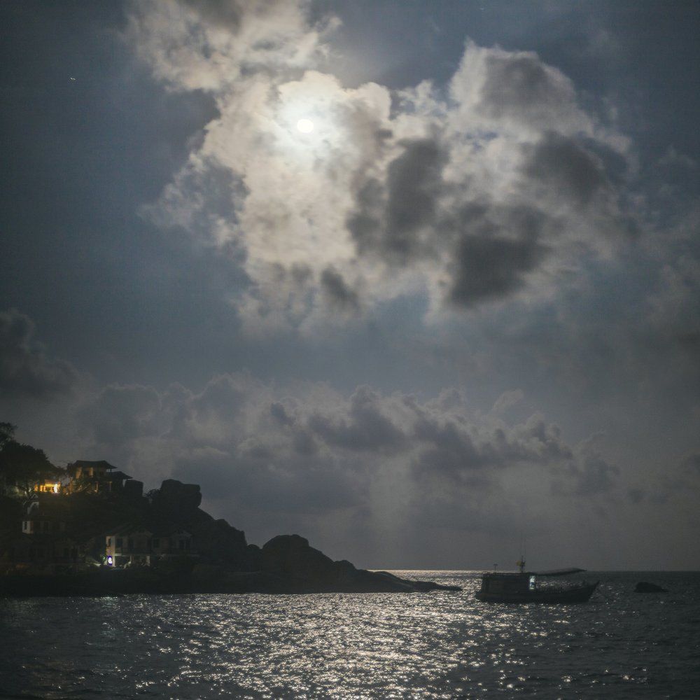 Лунная ночь