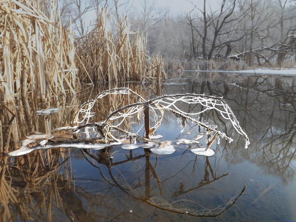 снасти иного сезона (ЧУДО : паутинки весной над водой В ИНЕЕ )