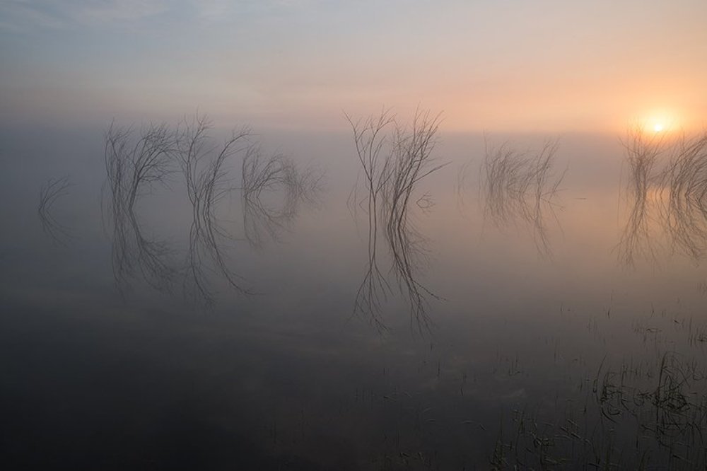 Равновесие.