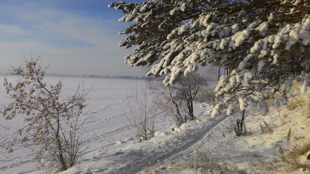 Зимние тропинки