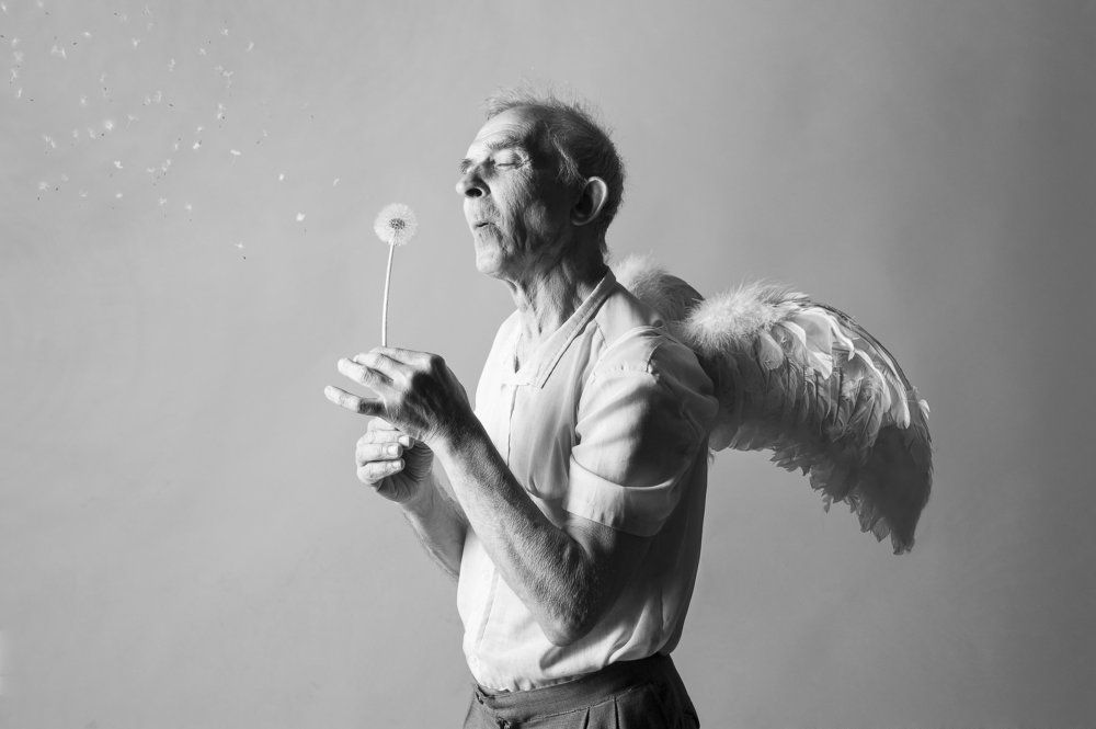 Дедушка - божий одуванчик