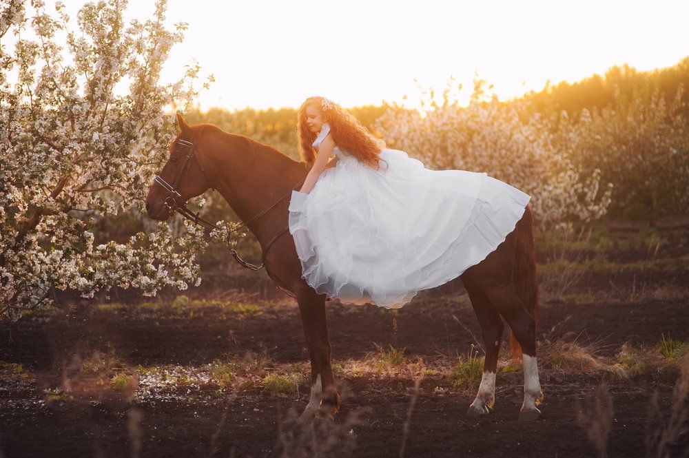 Конь и его девочка