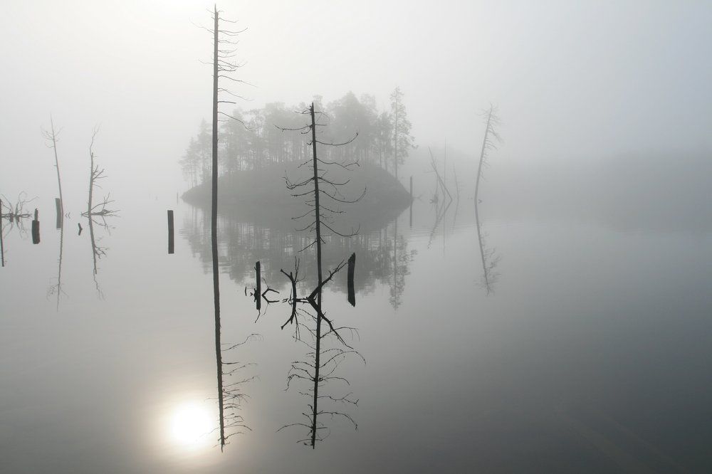 Photo #1197421