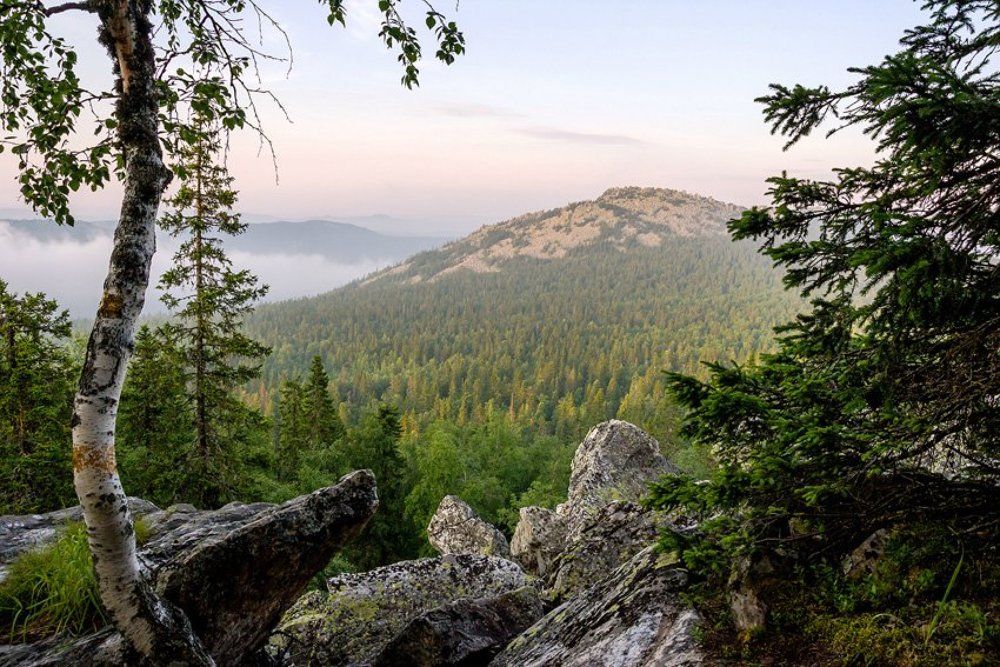 Замечательный вид