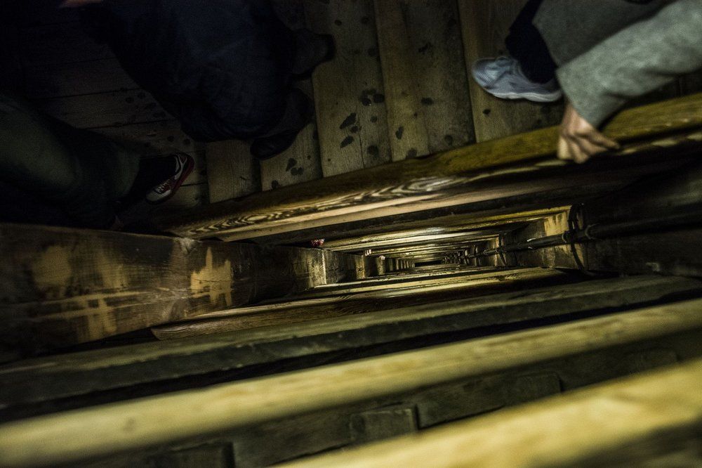 Photograph by Shivccus