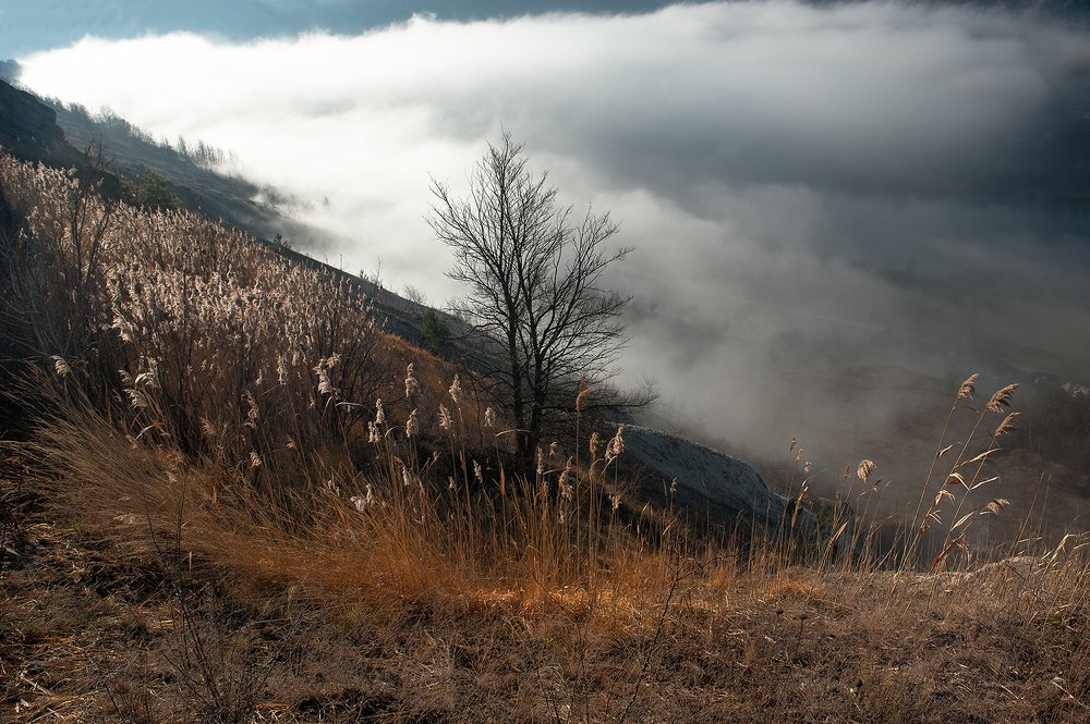 Там, где дремлют камыши...
