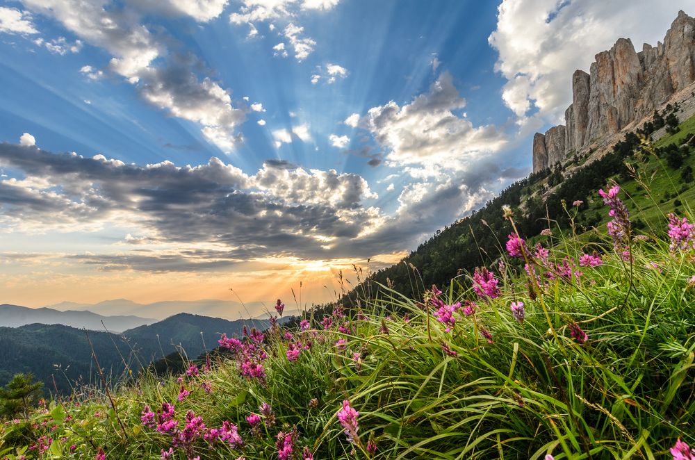 Природная палитра