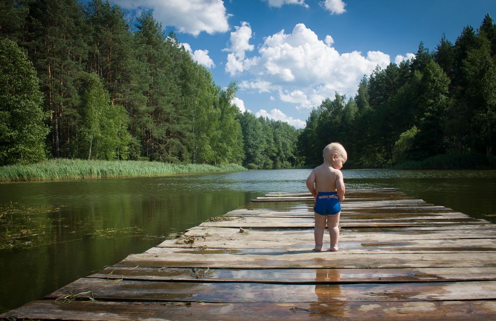 Летняя прогулка в лесу