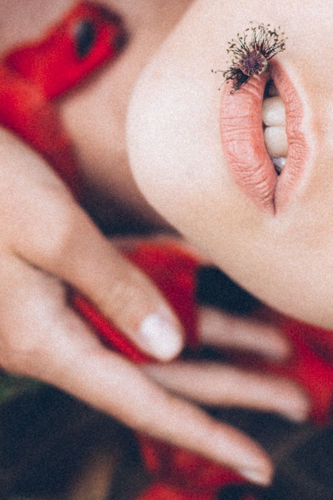 "Алых бабочек, развернутые крылья"