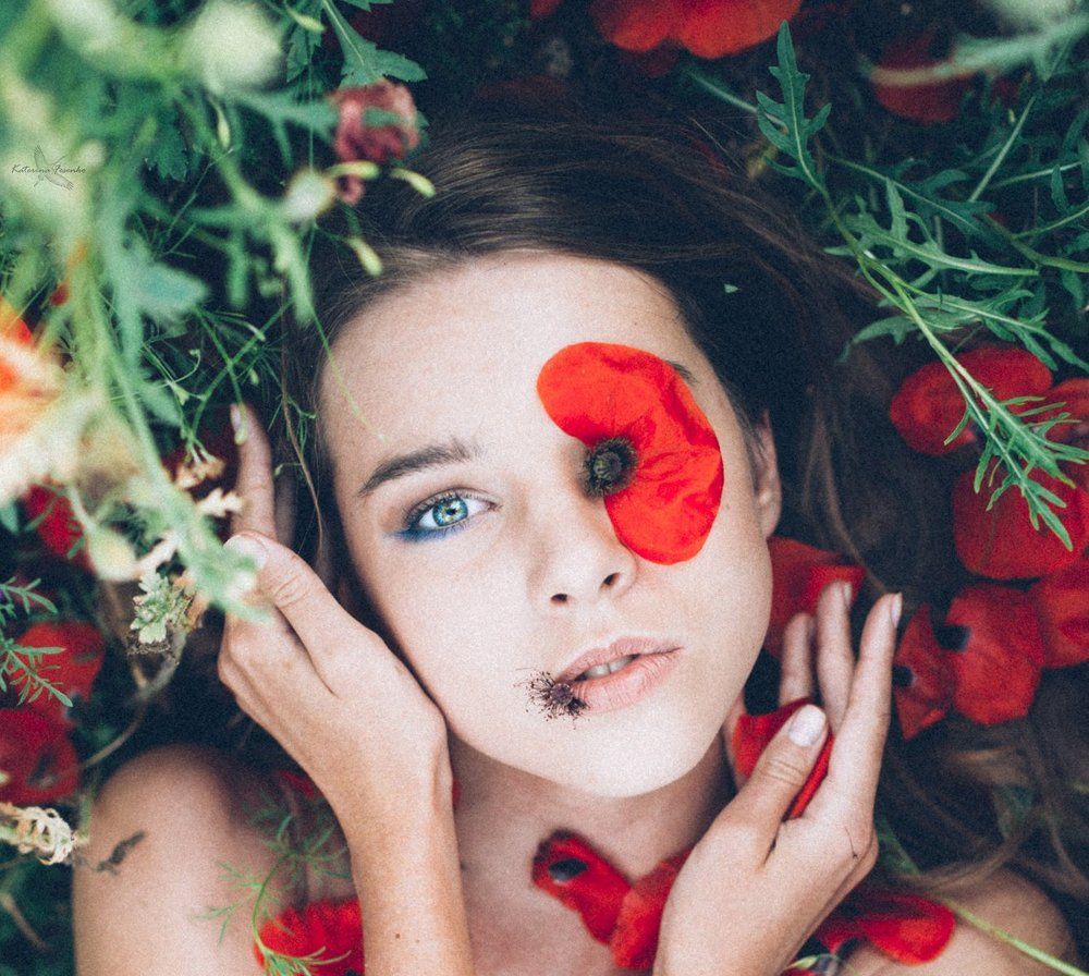 "Алых бабочек, развернутые крылья"