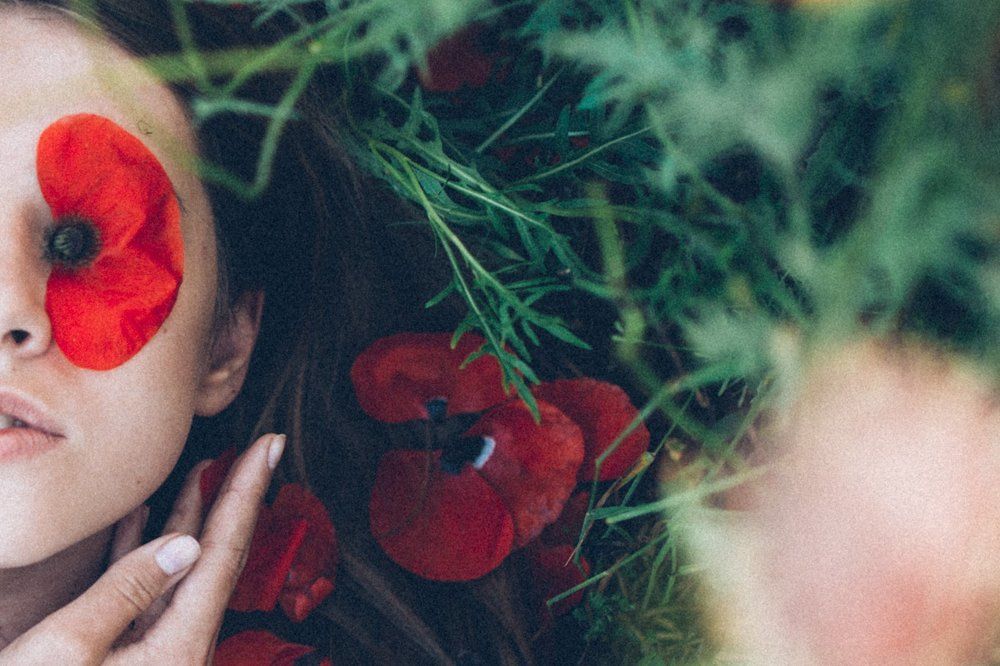 "Алых бабочек, развернутые крылья"