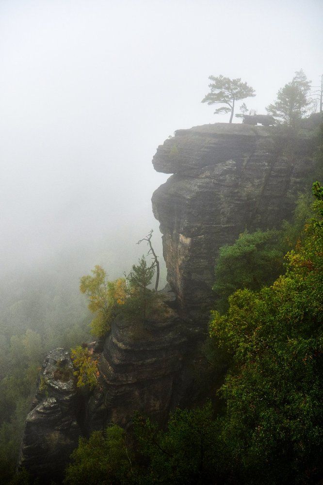 Утренний вид